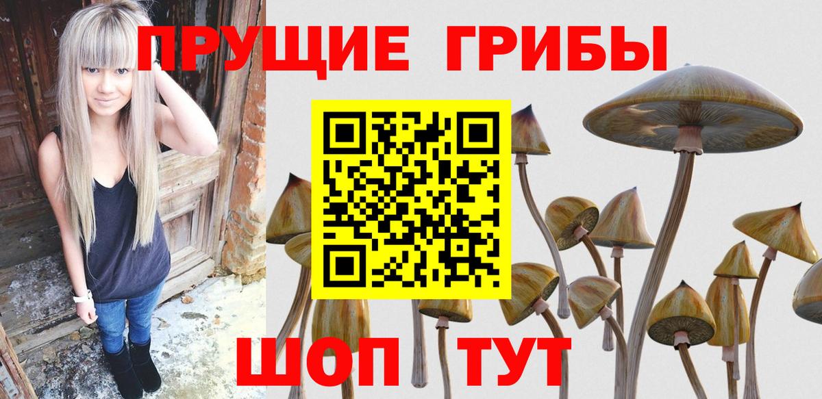 Галлюциногенные грибы Psilocybe  Вход с VPN  Георгиевск  наркошоп  Псилоцибиновые грибы MAGIC MUSHROOMS 